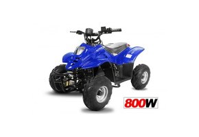 ECO Bigfoot Miniquad | 6 inch | 800W