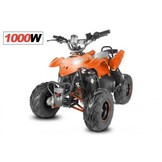 Elektrische Razer KinderQuad 800W