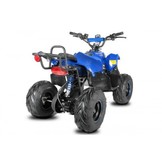 Elektrische Razer KinderQuad 800W