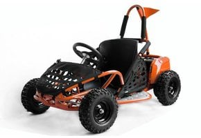 ECO GoKid Buggy | 1000W