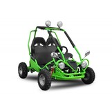 Elektrische Buggy | 450W | 2-persoons