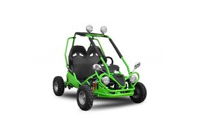 ECO Buggy | 450W | 2-persoons