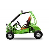 Elektrische Buggy | 450W | 2-persoons