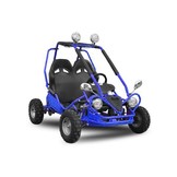 Elektrische Buggy | 450W | 2-persoons