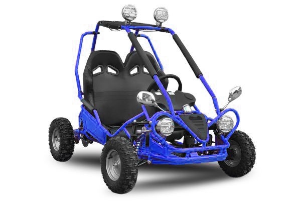 Elektrische Buggy | 450W | 2-persoons