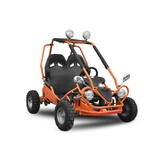 Elektrische Buggy | 450W | 2-persoons