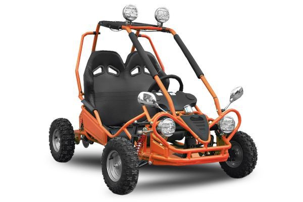 Elektrische Buggy | 450W | 2-persoons