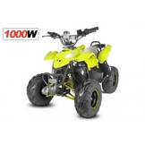 Elektrische Razer Quad 1000W