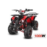 Elektrische Toronto Quad met 1000W motorvermogen!