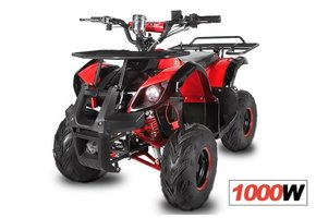 ECO Toronto Quad | 1000W