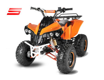 WARRIOR RG8 S | E-Start | Automaat