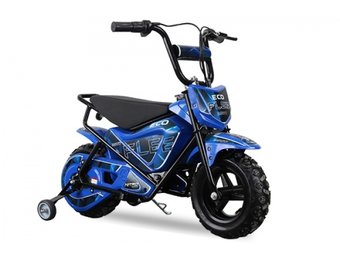 Eco Flee Pocketbike | 250W