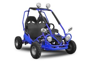 ECO Buggy | 750W | 2-persoons