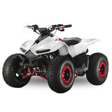 Velocifero Mini ATV kinderquad 110cc