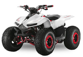 Velocifero Mini ATV | E-start | 110cc