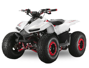 Velocifero Mini ATV | E-start | 110cc