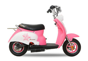 Eco Retro Scooter| 350W | 24V