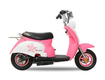 Eco Retro Scooter| 350W | 24V