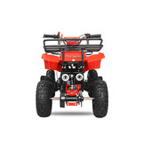 Nitro Motors - Torino Miniquad