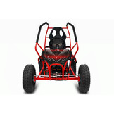 Elektrische Gocart Racer kinderbuggy |  36V 1000W | Brushless motor