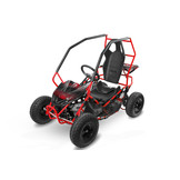 Elektrische Gocart Racer kinderbuggy |  36V 1000W | Brushless motor
