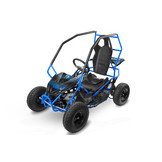 Elektrische Gocart Racer kinderbuggy |  36V 1000W | Brushless motor