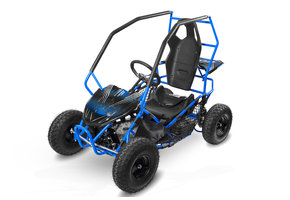 ECO Gocart RACER |  36V 1000W | Brushless