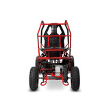 Elektrische Gocart Racer kinderbuggy |  36V 1000W | Brushless motor