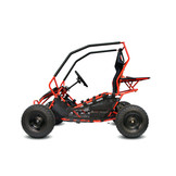 Elektrische Gocart Racer kinderbuggy |  36V 1000W | Brushless motor