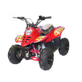 Bigfoot Midiquad met elektrische starter