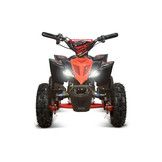 Elektrische Replay XXL Deluxe 36V 1000W kinderquad