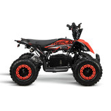Elektrische Replay XXL Deluxe 36V 1000W kinderquad