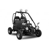 Elektrische Buggy | 450W | 2-persoons
