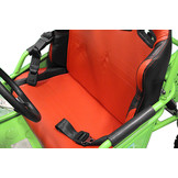 Elektrische Buggy | 450W | 2-persoons