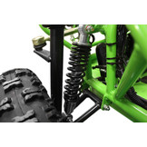 Elektrische Buggy | 450W | 2-persoons