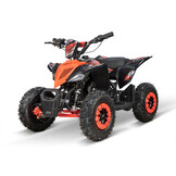 Replay Deluxe mini kinderquad 49cc 2-takt