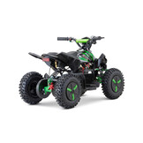 Elektrische Python Snowy kinderquad  1000W 36V- Nitro Motors