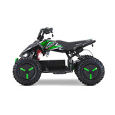 Elektrische Python Snowy kinderquad  1000W 36V- Nitro Motors
