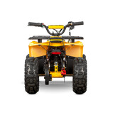 Elektrische Nerino BTF miniquad | 1000 Watt | 48 Volt