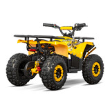 Elektrische Nerino BTF miniquad | 1000 Watt | 48 Volt