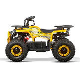 Elektrische Nerino BTF miniquad | 1000 Watt | 48 Volt