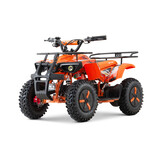 Elektrische Dusty Snowy Miniquad | 1000W 36V
