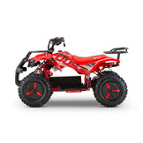 Elektrische Dusty Snowy Miniquad | 1000W 36V