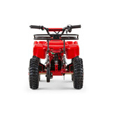 Elektrische Dusty Snowy Miniquad | 1000W 36V