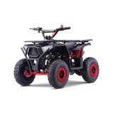 Acanto BTF 49cc | 6 inch  miniquad