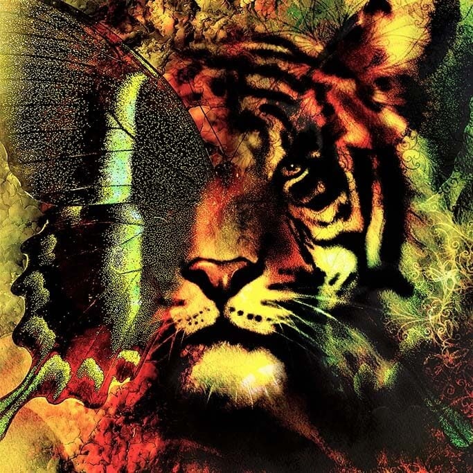 Color tiger