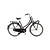 Trek Stijlvolle stadsfiets