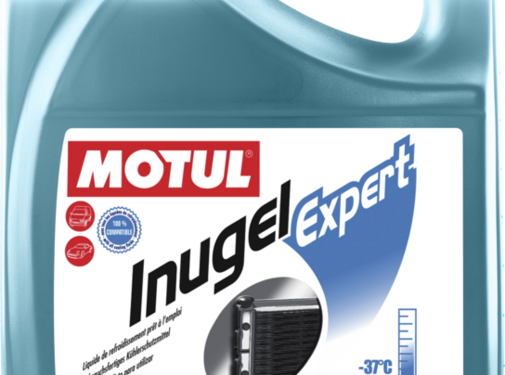 Motul Motul Inugel Expert -37°C