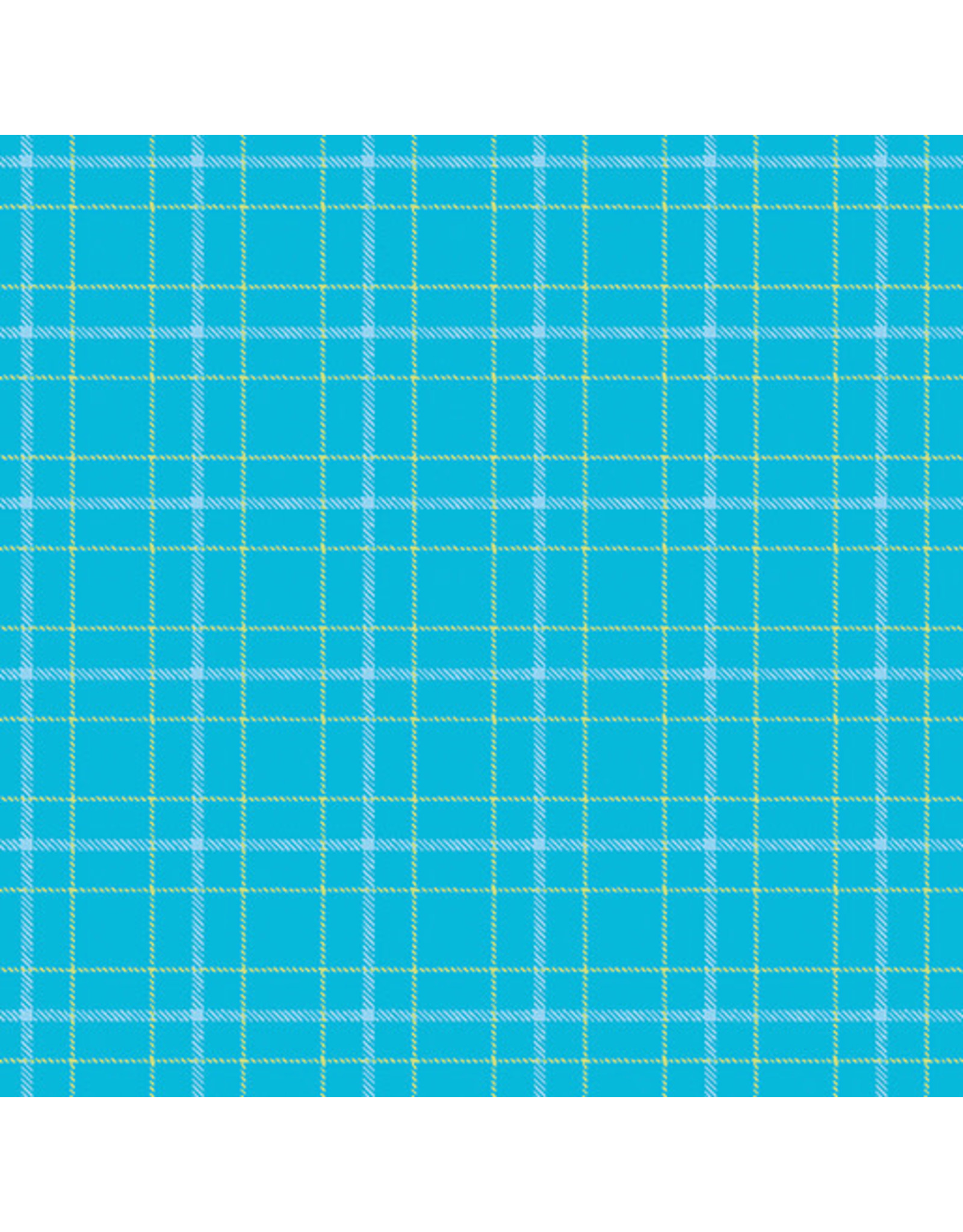 Contempo Modern Quilt Studio - Warp & Weft 2 - Double Plaid Aqua - 10208Y-24