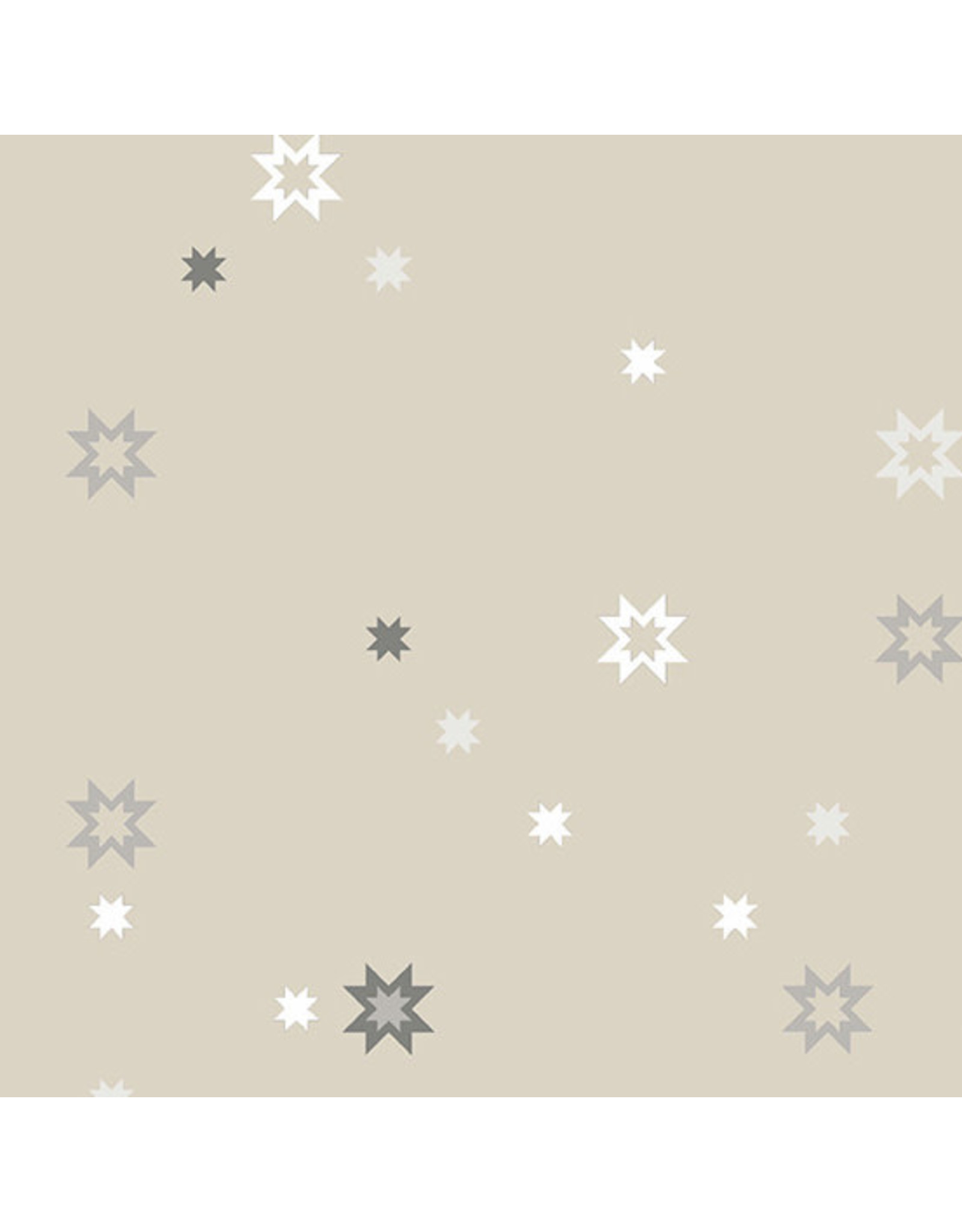 Andover Andover Fabrics - Libs Elliott - Stealth - North Star Canvas - 9663-N